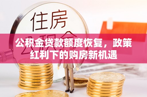 龙华新区公积金贷款额度恢复，政策红利下的购房新机遇
