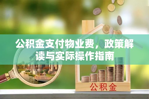 龙华新区公积金支付物业费，政策解读与实际操作指南