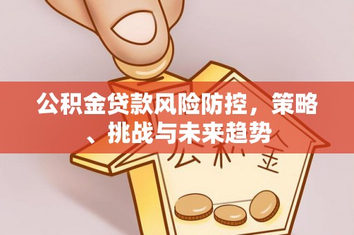 龙华新区公积金贷款风险防控，策略、挑战与未来趋势