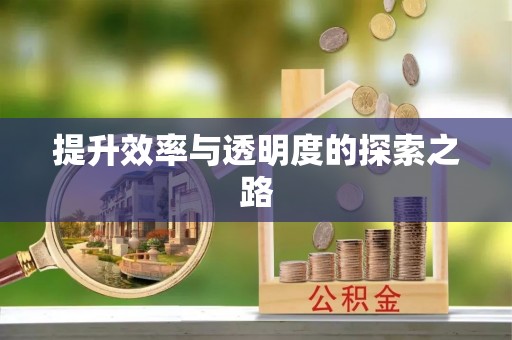 龙华新区提升效率与透明度的探索之路