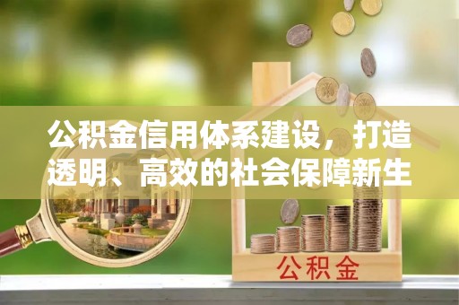 龙华新区公积金信用体系建设，打造透明、高效的社会保障新生态