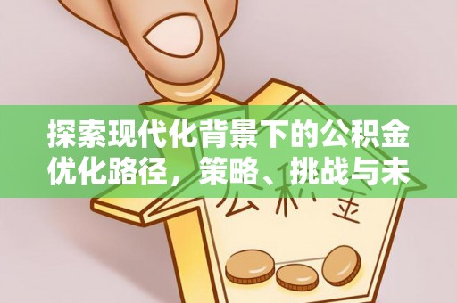 龙华新区探索现代化背景下的公积金优化路径，策略、挑战与未来展望