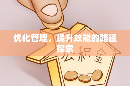 龙华新区优化管理，提升效能的路径探索