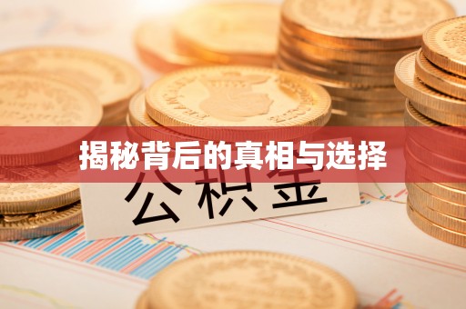 龙华新区揭秘背后的真相与选择