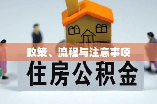 龙华新区政策、流程与注意事项