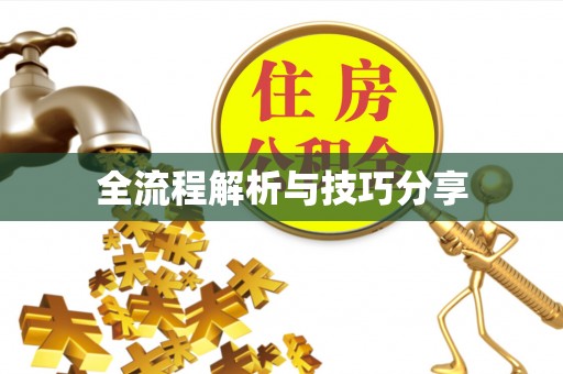 龙华新区全流程解析与技巧分享